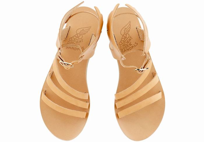 Beige Ancient Greek Sandals Ikaria Leather Women Ankle Strap Sandals | OFQ7948QK