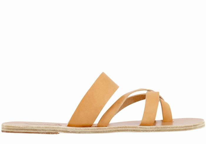 Beige Ancient Greek Sandals Jason Leather Men Slide Sandals | ADY1861PV