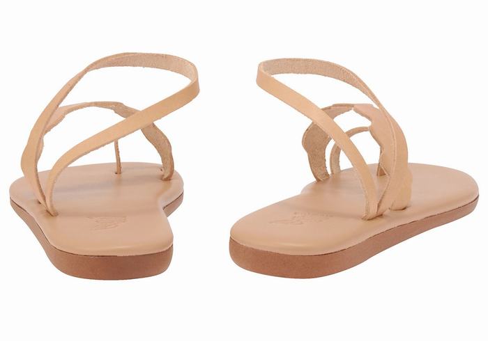 Beige Ancient Greek Sandals Koralia Women Toe-Post Sandals | GYK3927HG