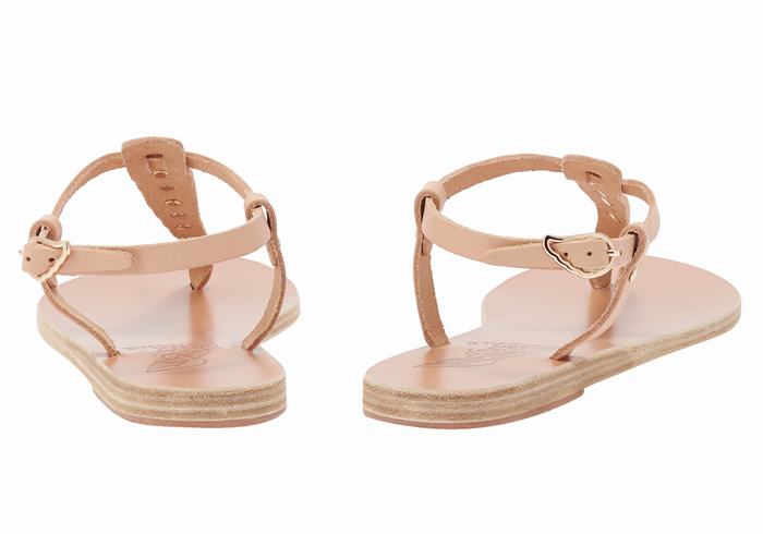 Beige Ancient Greek Sandals Lito Bee Women Back-Strap Sandals | JME3981KI