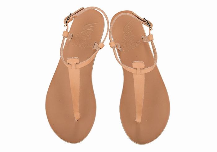 Beige Ancient Greek Sandals Lito Flip Flop Leather Women Back-Strap Sandals | MRK5247AR