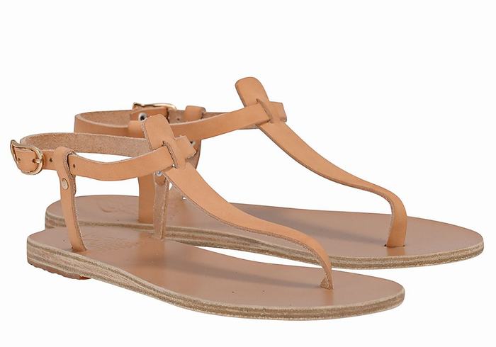 Beige Ancient Greek Sandals Lito Flip Flop Leather Women Back-Strap Sandals | MRK5247AR