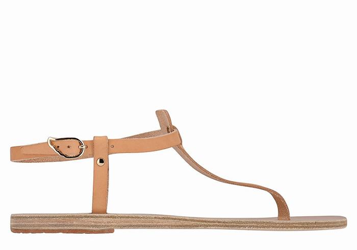 Beige Ancient Greek Sandals Lito Flip Flop Leather Women Back-Strap Sandals | MRK5247AR