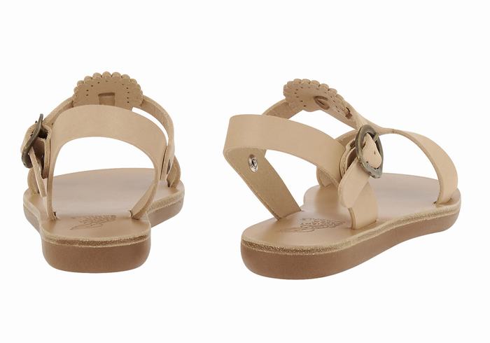 Beige Ancient Greek Sandals Little Amber Soft Kids' Flat Sandals | CWO4159XP