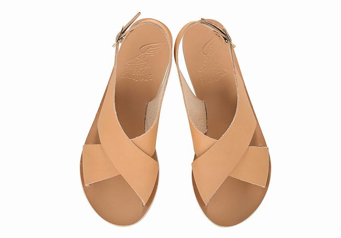 Beige Ancient Greek Sandals Maria Leather Women Casual Sandals | JQJ8989ZO