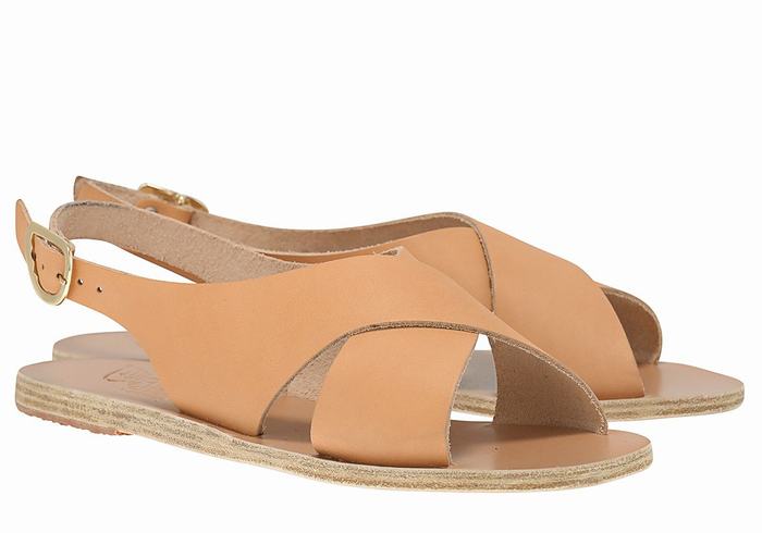 Beige Ancient Greek Sandals Maria Leather Women Casual Sandals | JQJ8989ZO