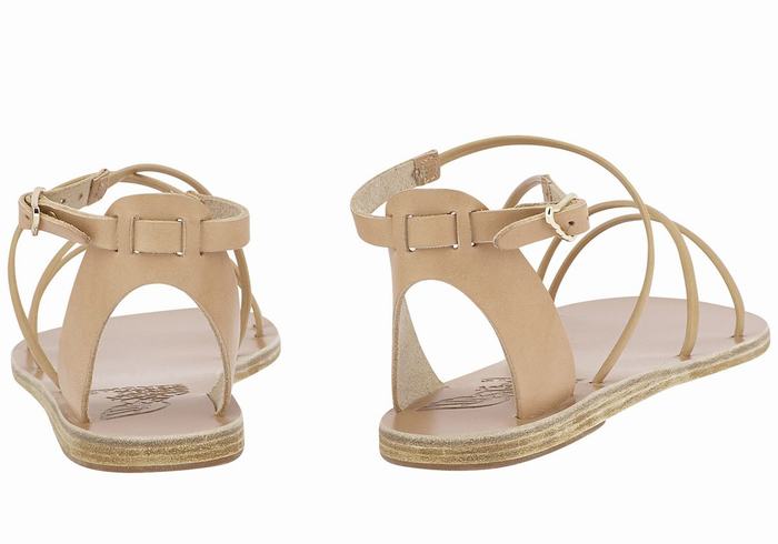 Beige Ancient Greek Sandals Meloivia Women Ankle Strap Sandals | GKI6867DU