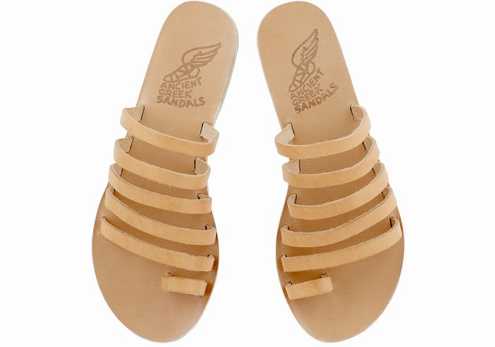 Beige Ancient Greek Sandals Niki Leather Women Toe-Post Sandals | TWD9957NT