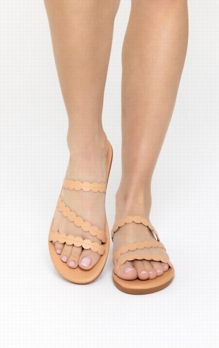 Beige Ancient Greek Sandals Oceanis Women Slide Sandals | VCT814RE