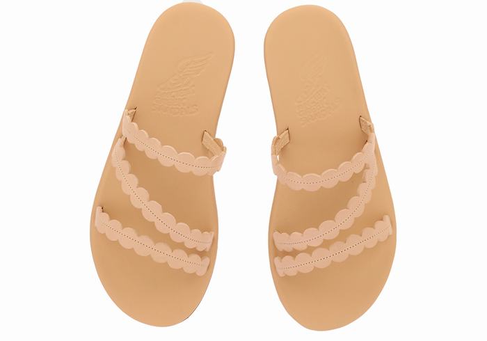 Beige Ancient Greek Sandals Oceanis Women Slide Sandals | VCT814RE