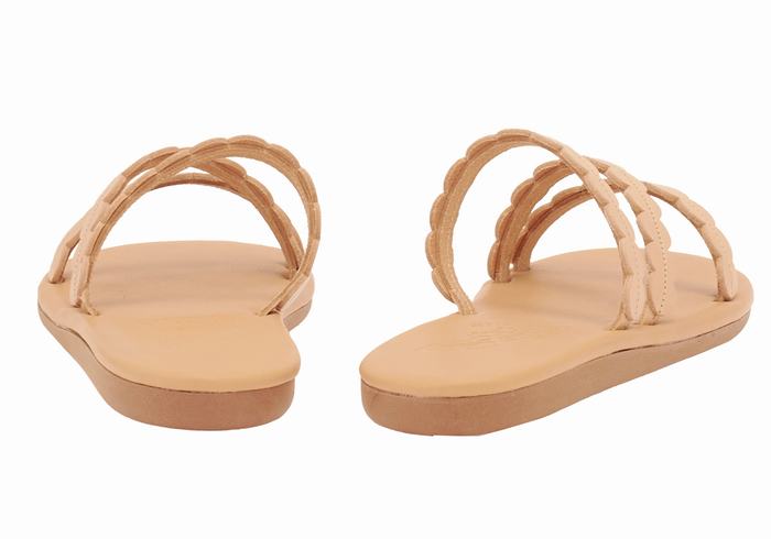 Beige Ancient Greek Sandals Oceanis Women Slide Sandals | VCT814RE