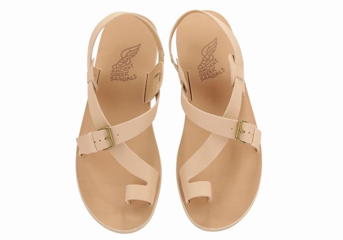 Beige Ancient Greek Sandals Paris Leather Men Toe-Post Sandals | FZB9022YY