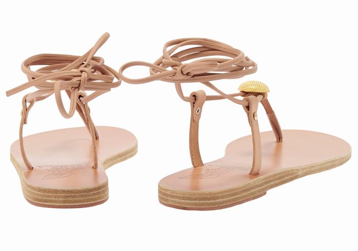 Beige Ancient Greek Sandals Persephone Women Gladiator Sandals | UZN2656PH