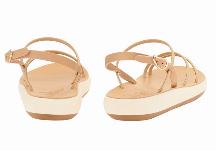 Beige Ancient Greek Sandals Polis Women Back-Strap Sandals | CEK681SA