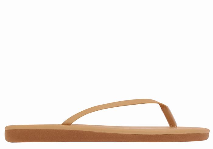 Beige Ancient Greek Sandals Saionara Women Flip Flops | NJX1544UM