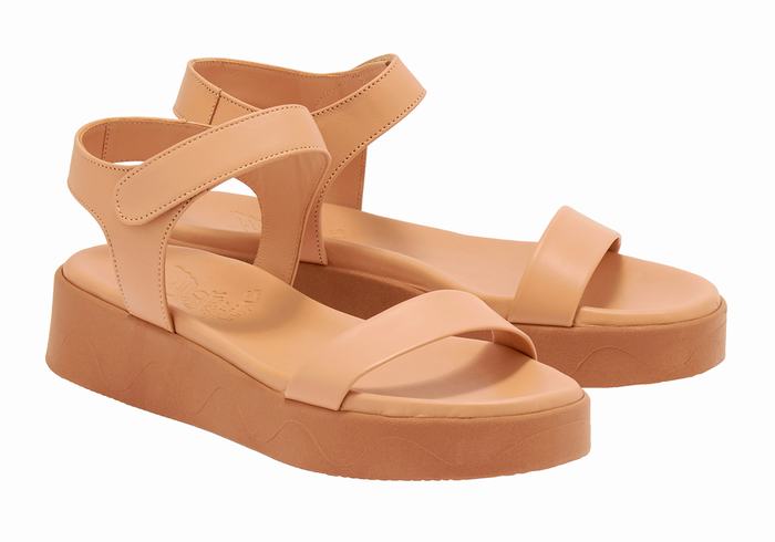 Beige Ancient Greek Sandals Salamina Leather Women Platform Sandals | HQC9378BK