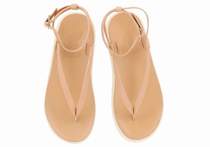 Beige Ancient Greek Sandals Salomi Comfort Women Ankle Strap Sandals | PEK3229SF