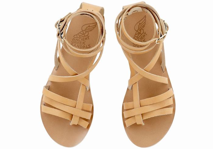 Beige Ancient Greek Sandals Satira Leather Women Gladiator Sandals | VOF2572PW