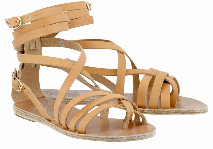 Beige Ancient Greek Sandals Satira Leather Women Gladiator Sandals | VOF2572PW