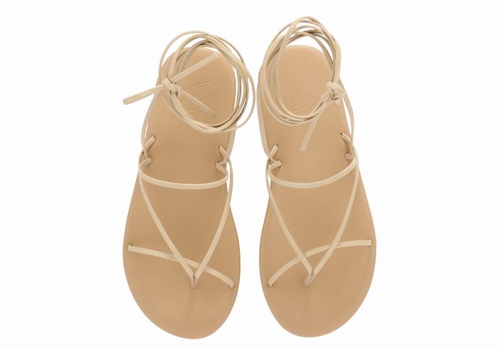 Beige Ancient Greek Sandals String Women Gladiator Sandals | FEM6824EQ