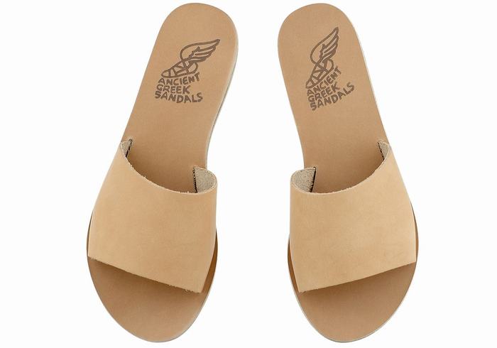 Beige Ancient Greek Sandals Taygete Women Slide Sandals | QNY3241FD