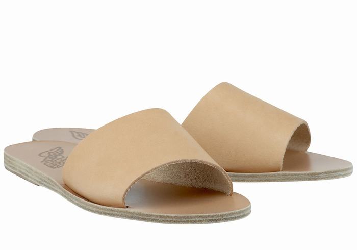 Beige Ancient Greek Sandals Taygete Women Slide Sandals | QNY3241FD