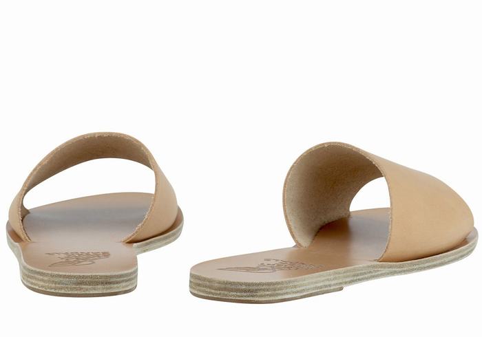 Beige Ancient Greek Sandals Taygete Women Slide Sandals | QNY3241FD