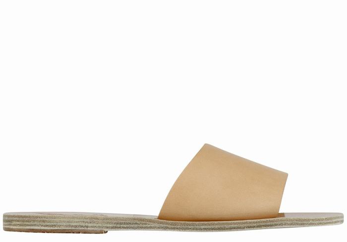 Beige Ancient Greek Sandals Taygete Women Slide Sandals | QNY3241FD