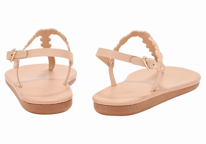 Beige Ancient Greek Sandals Velos Flip Flop Women Back-Strap Sandals | XWV5317XL