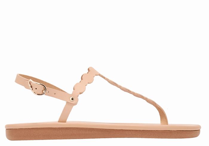 Beige Ancient Greek Sandals Velos Flip Flop Women Back-Strap Sandals | XWV5317XL