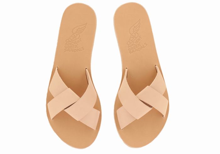 Beige Ancient Greek Sandals Whitney Women Slide Sandals | DMZ6746BO