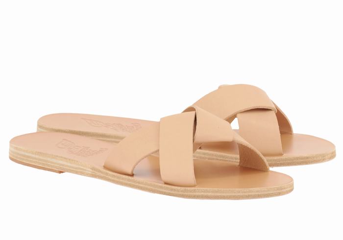 Beige Ancient Greek Sandals Whitney Women Slide Sandals | DMZ6746BO