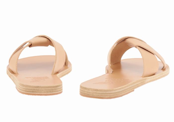 Beige Ancient Greek Sandals Whitney Women Slide Sandals | DMZ6746BO