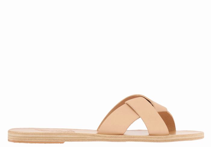 Beige Ancient Greek Sandals Whitney Women Slide Sandals | DMZ6746BO