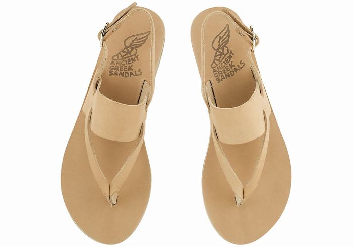 Beige Ancient Greek Sandals Zoe Flip Flop Leather Women Back-Strap Sandals | DWC171IO