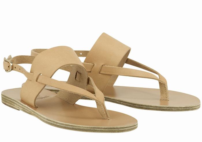 Beige Ancient Greek Sandals Zoe Flip Flop Leather Women Back-Strap Sandals | DWC171IO