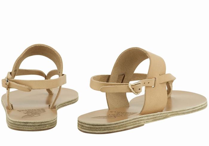 Beige Ancient Greek Sandals Zoe Flip Flop Leather Women Back-Strap Sandals | DWC171IO