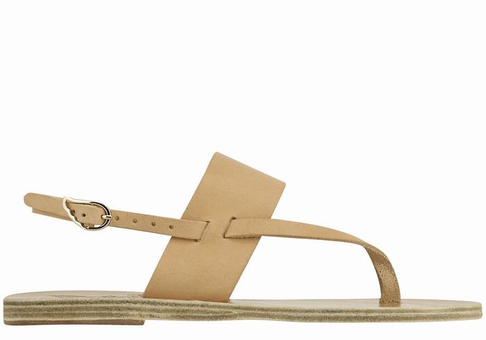 Beige Ancient Greek Sandals Zoe Flip Flop Leather Women Back-Strap Sandals | DWC171IO