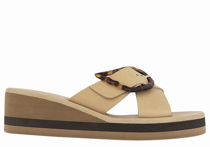 Beige Black Ancient Greek Sandals Thais Rainbow Women Wedge Sandals | BNY3328TT