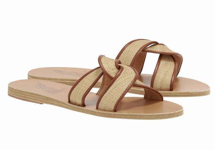 Beige Brown Ancient Greek Sandals Desmos Women Slide Sandals | MJV3165HA