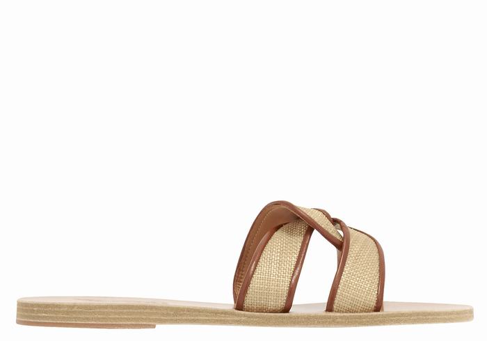 Beige Brown Ancient Greek Sandals Desmos Women Slide Sandals | MJV3165HA