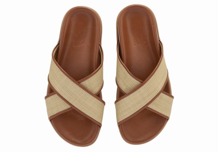 Beige Brown Ancient Greek Sandals Thais Footbed Women Slide Sandals | WHF4452RB