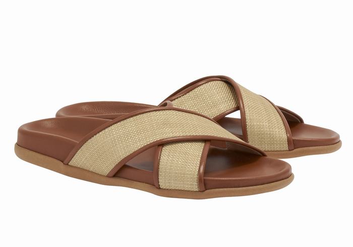 Beige Brown Ancient Greek Sandals Thais Footbed Women Slide Sandals | WHF4452RB