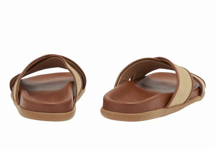 Beige Brown Ancient Greek Sandals Thais Footbed Women Slide Sandals | WHF4452RB