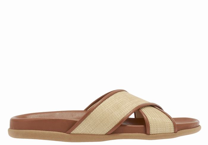 Beige Brown Ancient Greek Sandals Thais Footbed Women Slide Sandals | WHF4452RB