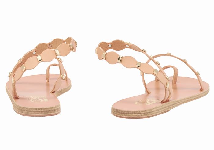 Beige Gold Ancient Greek Sandals Dauxerre Women Toe-Post Sandals | EUV4320IG