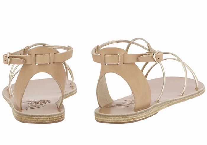 Beige Gold White Ancient Greek Sandals Meloivia Women Ankle Strap Sandals | AOQ5153OP