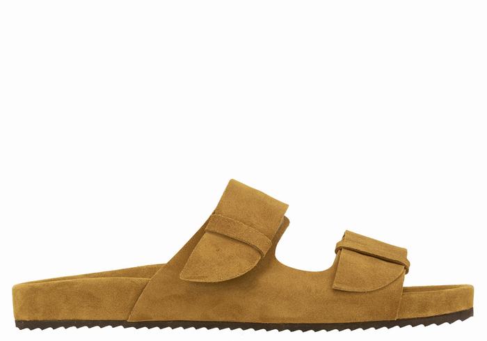 Brown Ancient Greek Sandals Diogenis Men Slippers | NLV2853KL