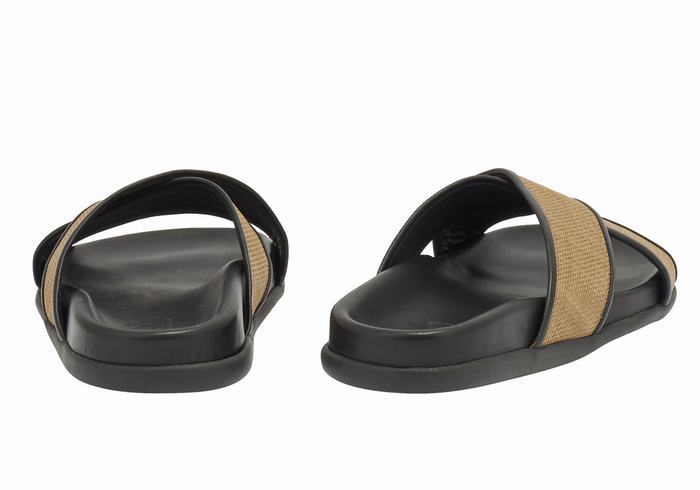 Brown Black Ancient Greek Sandals Thais Footbed Women Slide Sandals | CCK7023RY