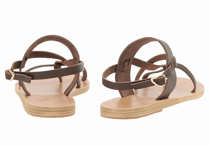 Chocolate Ancient Greek Sandals Alethea Women Back-Strap Sandals | ZGM1498KY